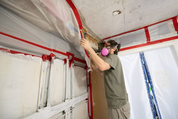 Best Commercial Mold Inspection  in Concord, NH