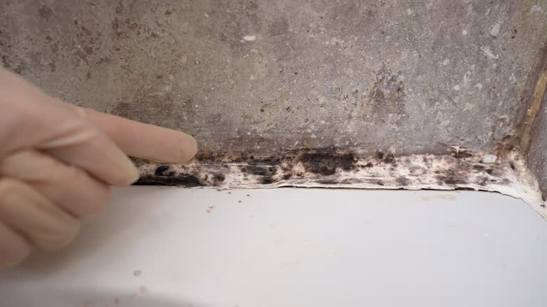 Asbestos and Lead Testing During Mold Inspection in Concord, NH